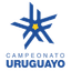 Liga AUF Uruguaya Logo