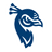Saint Peter's Peacocks Logo