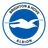 Brighton & Hove Albion U21 Logo